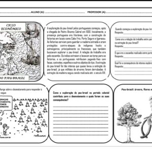 Atividade: Ciclo Econômico do Pau-Brasil – Ensino Fundamental II