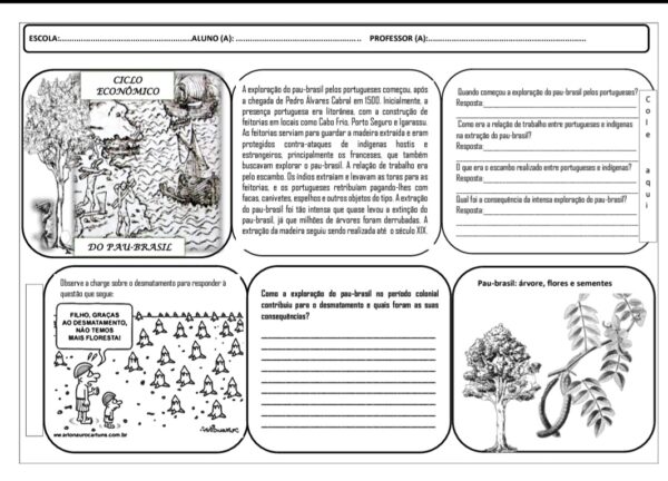 Atividade: Ciclo Econômico do Pau-Brasil – Ensino Fundamental II